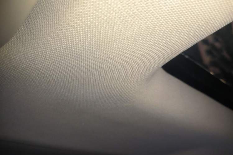 Used BAIC Off-Road BJ20 2018 1.5T CVT Luxury Model Headliner