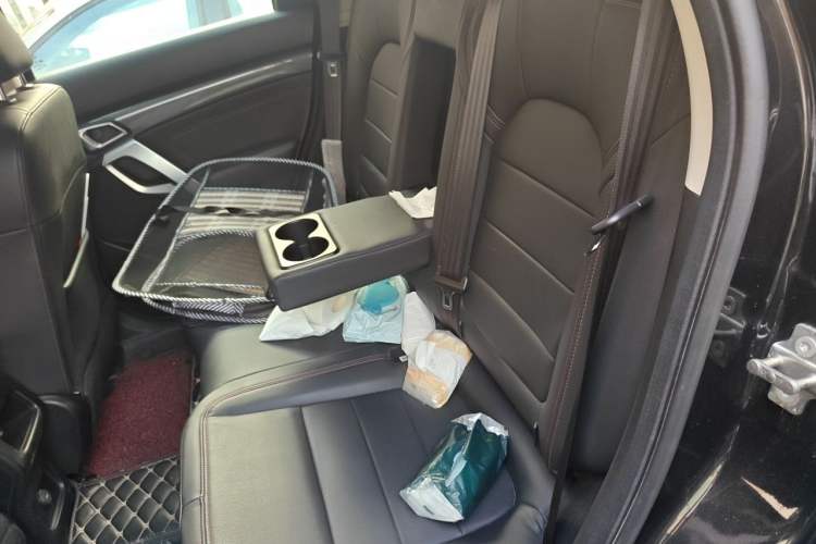Used BAIC Off-Road BJ20 2018 1.5T CVT Luxury Model Left Rear Seat