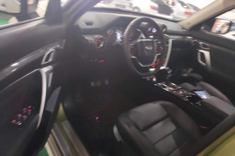 Used BAIC Off-Road BJ20 2018 1.5T CVT Luxury Model Driver Seat