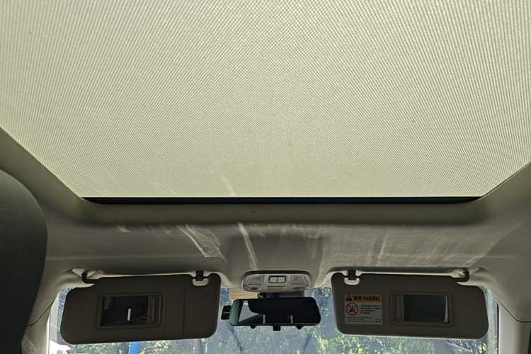 Used BAIC Off-Road BJ20 2018 1.5T CVT Luxury Model Headliner