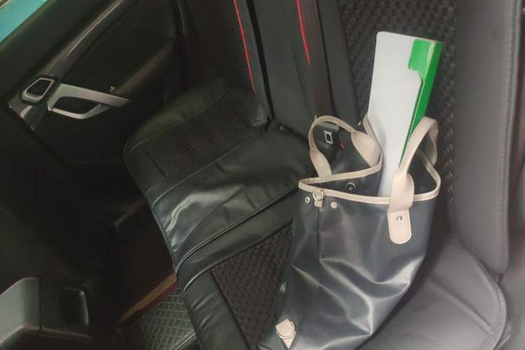 Used BAIC Off-Road BJ20 2018 1.5T CVT Luxury Model Left Rear Seat