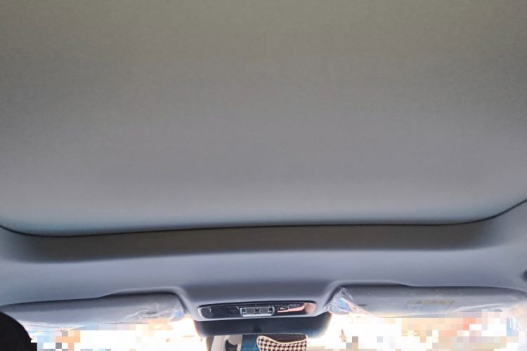 Used BAIC Off-Road BJ30 2024 1.5T Light Wilderness Pro Edition Headliner