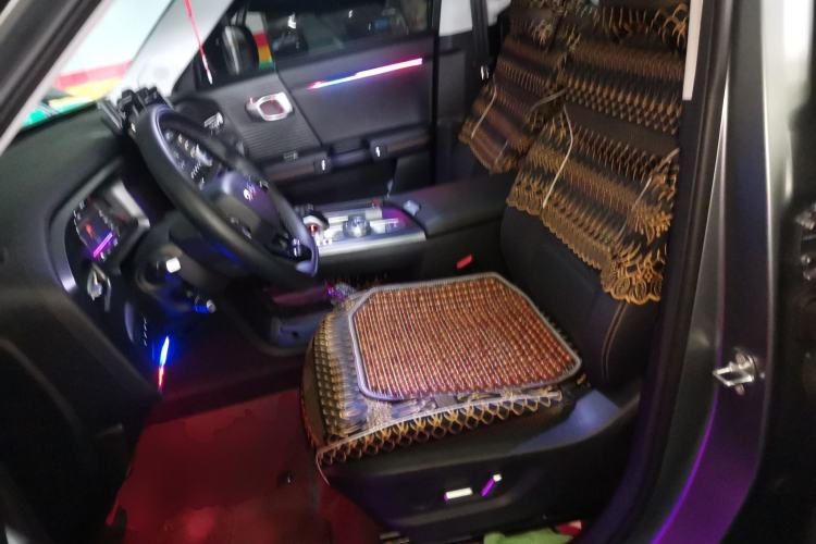 Used BAIC Off-Road BJ30 2024 1.5T Magic Electric Drive Advanced Version Left Front Seat
