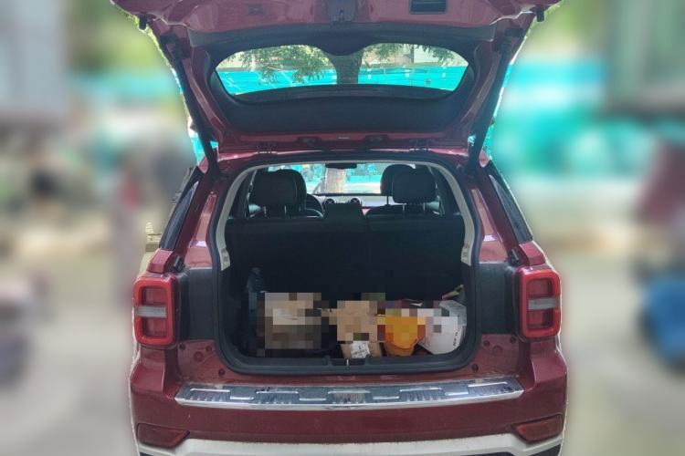 Used BAIC Off-Road BJ30 2021 1.5T Wolf Xiaoye Edition Trunk