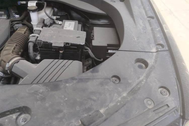 Used BAIC Off-Road BJ30 2024 1.5T Light Wilderness Pro Edition Engine Bay Left