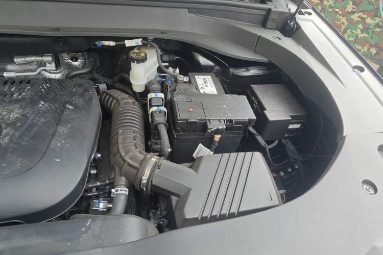 Used BAIC Off-Road BJ30 2024 1.5T Light Wilderness Pro Edition Engine Bay Left