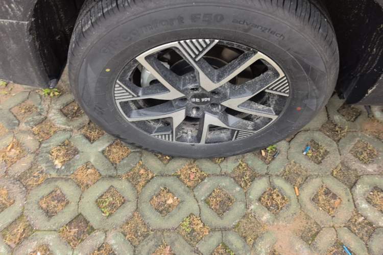 Used BAIC Off-Road BJ30 2024 1.5T Light Wilderness Pro Edition Exterior 5