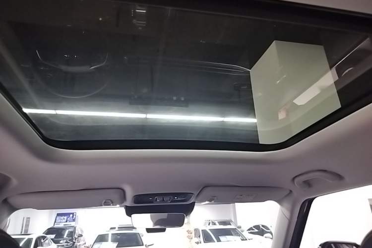 Used BAIC Off-Road BJ30 2024 1.5T Light Wilderness Pro Edition Headliner