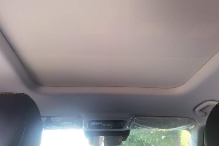Used BAIC Off-Road BJ30 2024 1.5T Light Wilderness Pro Edition Headliner