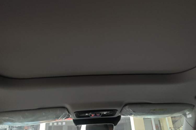 Used BAIC Off-Road BJ30 2024 1.5T Light Wilderness Pro Edition Headliner