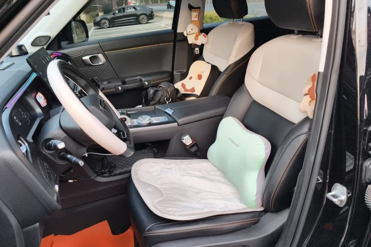 Used BAIC Off-Road BJ30 2024 1.5T Light Wilderness Pro Edition Left Front Seat