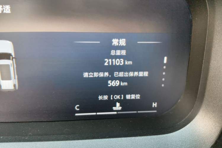 Used BAIC Off-Road BJ30 2024 1.5T Light Wilderness Pro Edition Odometer Close Up
