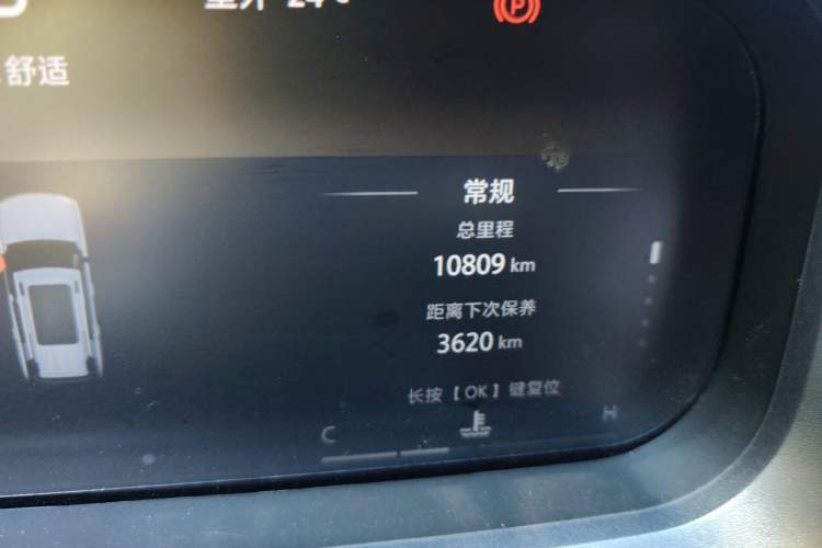 Used BAIC Off-Road BJ30 2024 1.5T Light Wilderness Pro Edition Odometer Close Up