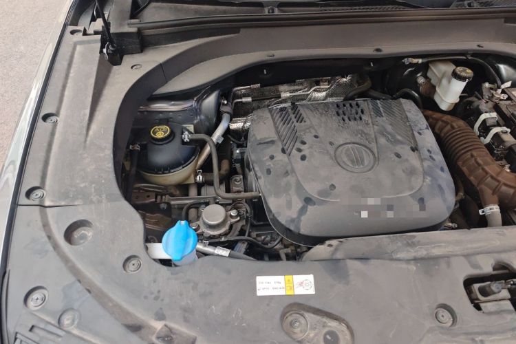 Used BAIC Off-Road BJ30 2024 1.5T Light Wilderness Pro Edition Engine Bay Right