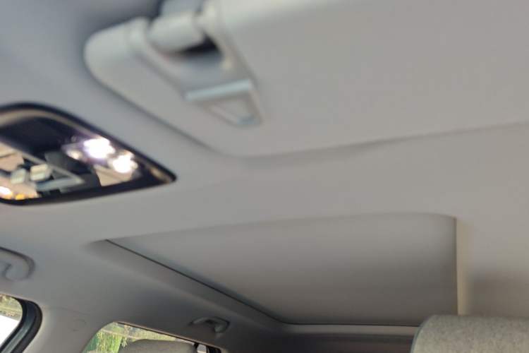 Used BAIC Off-Road BJ30 2024 1.5T Light Wilderness Pro Edition Headliner