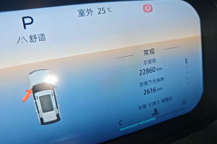 Used BAIC Off-Road BJ30 2024 1.5T Light Wilderness Pro Edition Odometer Close Up