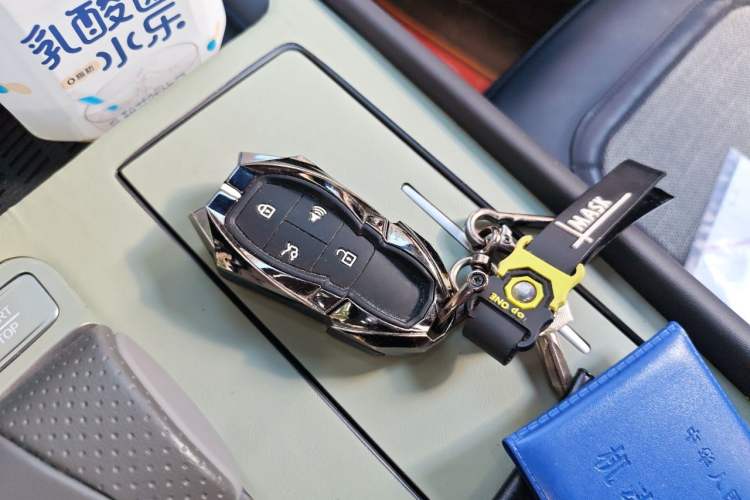 Used BAIC Off-Road BJ30 2024 1.5T Light Wilderness Pro Edition Vehicle Key