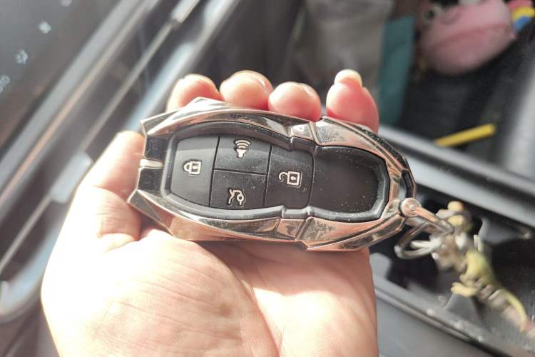 Used BAIC Off-Road BJ30 2024 1.5T Light Wilderness Pro Edition Vehicle Key