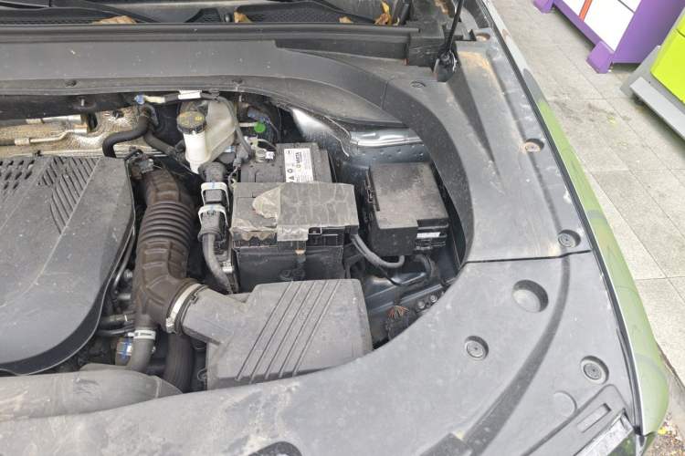 Used BAIC Off-Road BJ30 2024 1.5T Light Wilderness Pro Edition Engine Bay Left