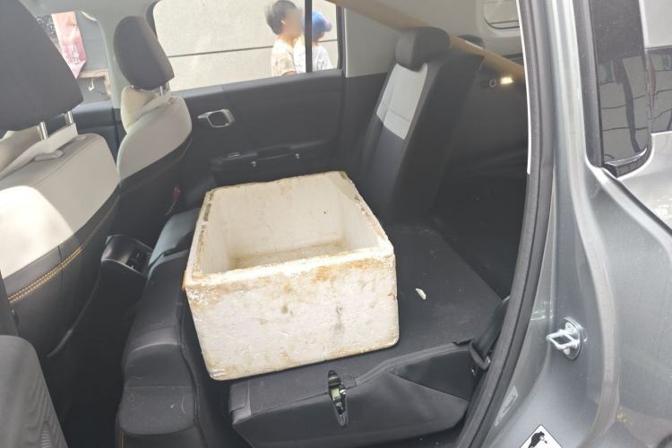 Used BAIC Off-Road BJ30 2024 1.5T Light Wilderness Pro Edition Left Rear Seat