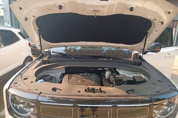 Used BAIC Off-Road BJ30 2024 1.5T Light Wilderness Pro Edition Engine Bay