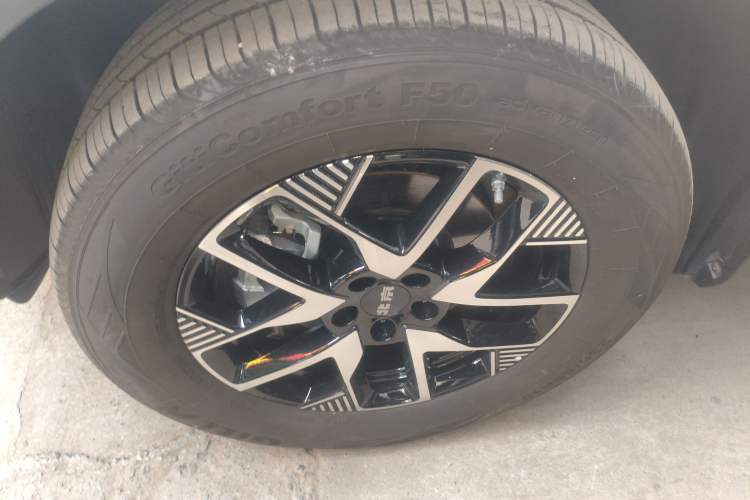 Used BAIC Off-Road BJ30 2024 1.5T Light Wilderness Pro Edition Exterior 4