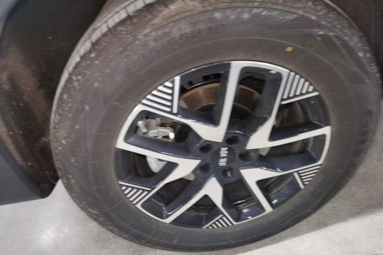 Used BAIC Off-Road BJ30 2024 1.5T Light Wilderness Pro Edition Exterior 5