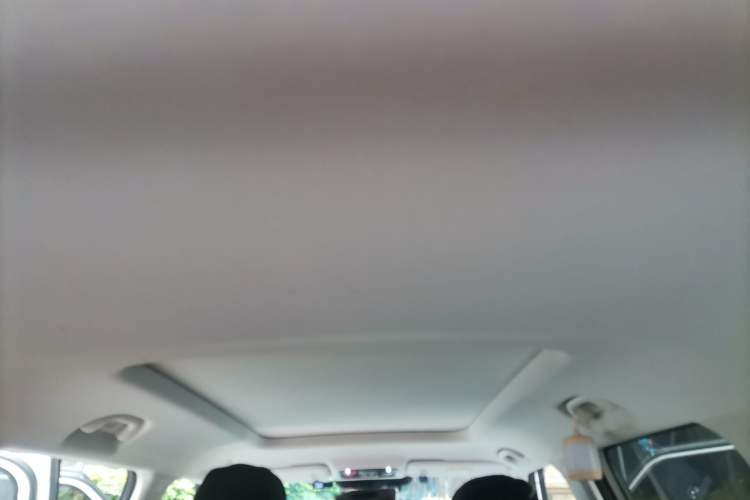 Used BAIC Off-Road BJ30 2024 1.5T Light Wilderness Pro Edition Headliner