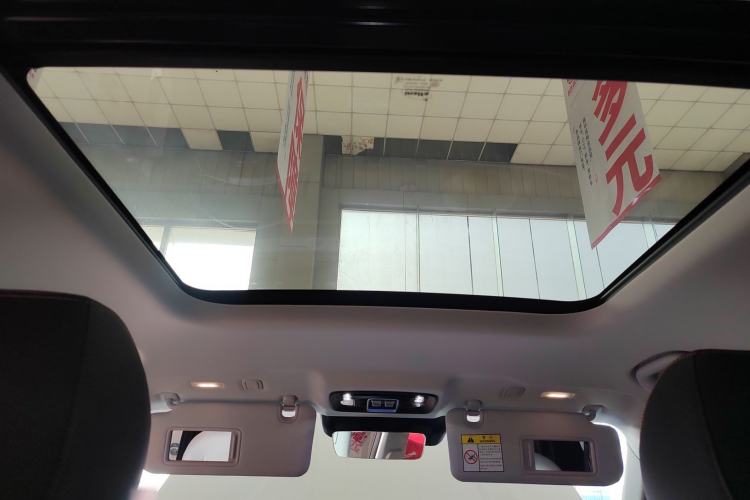 Used BAIC Off-Road BJ30 2024 1.5T Light Wilderness Pro Edition Headliner