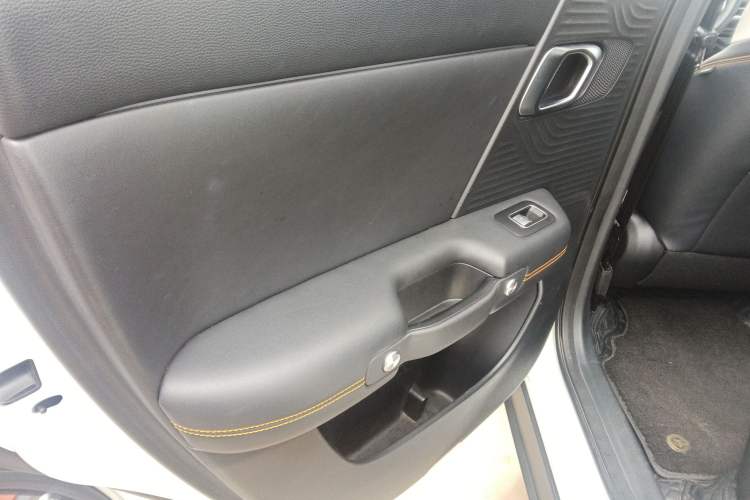 Used BAIC Off-Road BJ30 2024 1.5T Magic Electric Drive Advanced Version Left Rear Door Interior