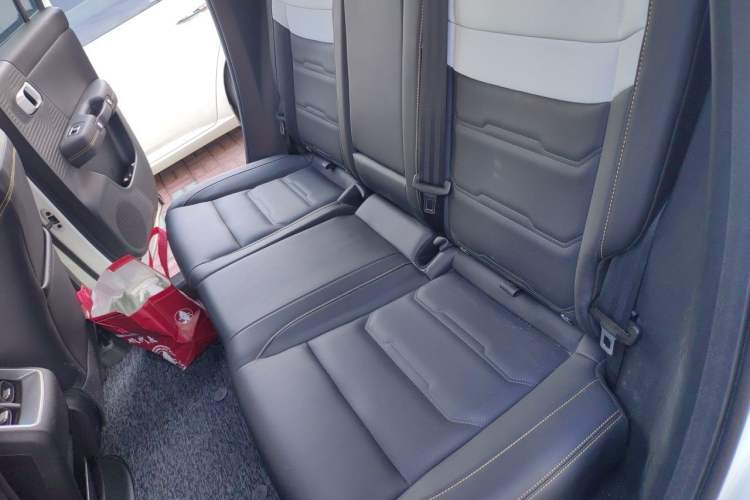 Used BAIC Off-Road BJ30 2024 1.5T Light Off-road Max Edition Left Rear Seat
