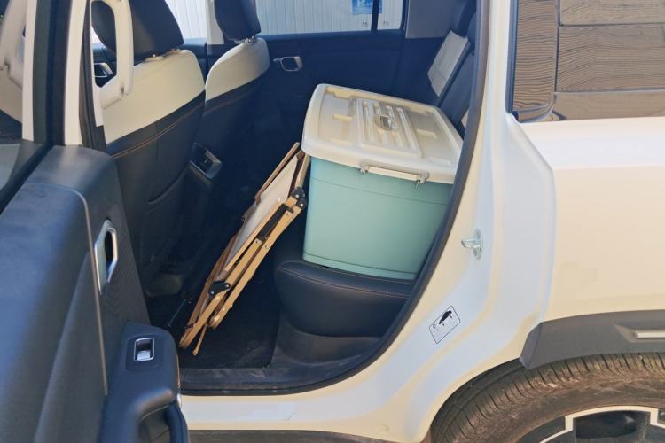 Used BAIC Off-Road BJ30 2024 1.5T Magic Electric Drive Advanced Version Left Rear Seat