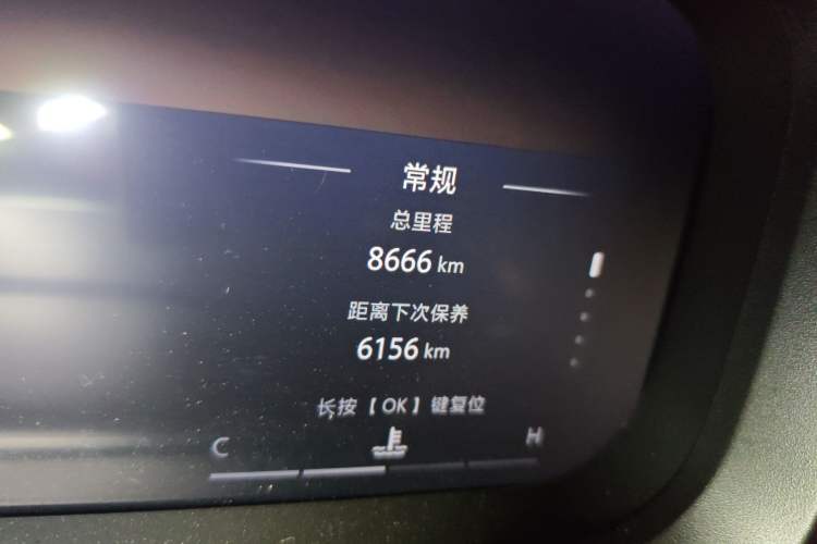 Used BAIC Off-Road BJ30 2024 1.5T Light Wilderness Pro Edition Odometer Close Up