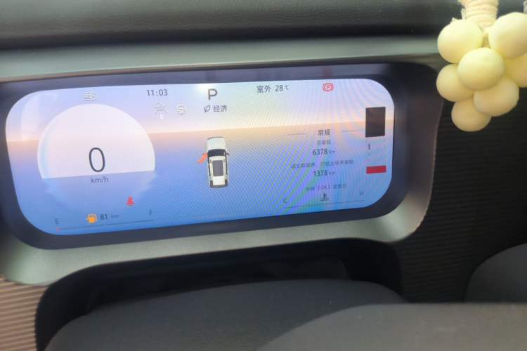Used BAIC Off-Road BJ30 2024 1.5T Light Wilderness Pro Edition Odometer Close Up
