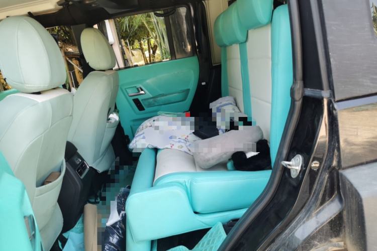 Used BAIC Off-Road BJ40 2016 40L 2.3T Automatic All-Wheel Drive Premium Edition Left Rear Seat