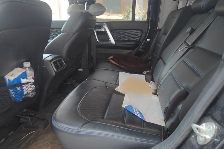 Used BAIC Off-Road BJ40 2018 PLUS 2.3T Automatic Four-Wheel Drive Premium Edition China V Left Rear Seat