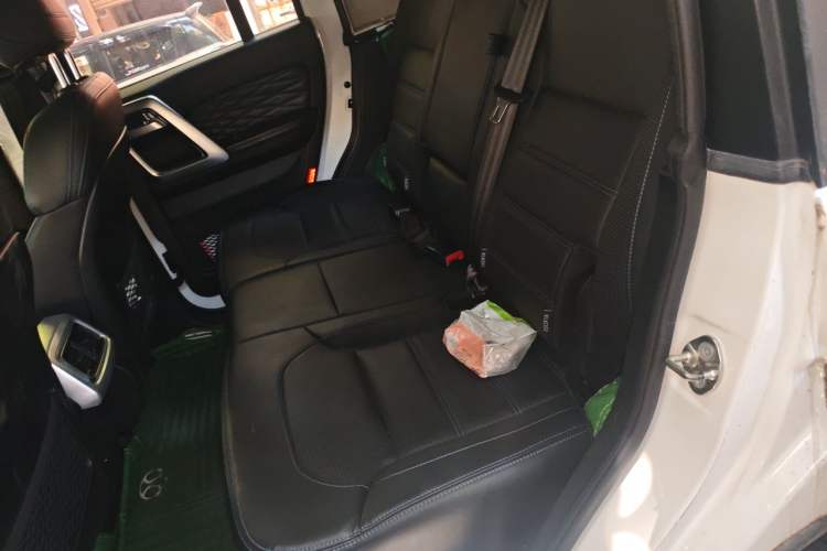 Used BAIC Off-Road BJ40 2018 PLUS 2.3T Automatic Four-Wheel Drive Flagship Version China V Emission Standard Left Rear Seat