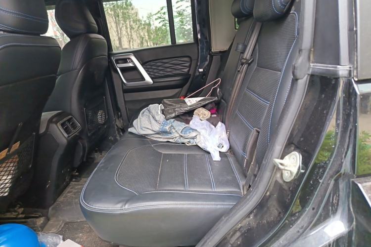 Used BAIC Off-Road BJ40 2019 PLUS 2.3T Automatic Four-Wheel Drive Premium Edition China VI Left Rear Seat