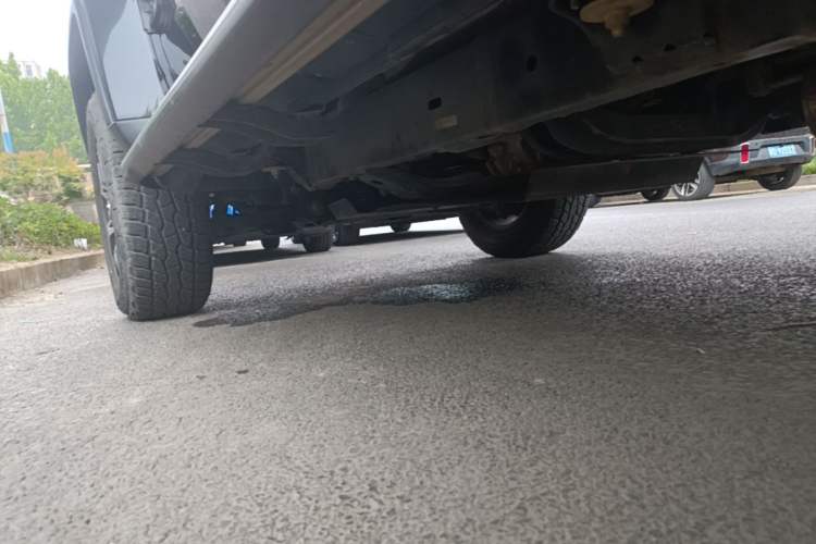 Used BAIC Off-Road BJ40 2019 PLUS 2.3T Automatic Four-Wheel Drive Flagship Edition China VI Emission Standard Left Side Sill