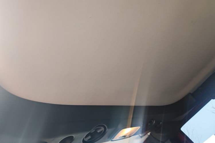Used BAIC Off-Road BJ40 2019 PLUS 2.3T Automatic Four-Wheel Drive Premium Edition China VI Headliner