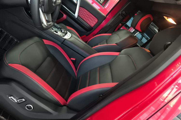 Used BAIC Off-Road BJ40 2019 PLUS 2.3T Automatic Four-Wheel Drive Premium Edition China VI Left Front Seat