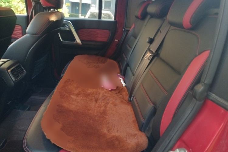 Used BAIC Off-Road BJ40 2019 2.3T Automatic Four-Wheel Drive Ring the Tower Champion Edition China VI Left Rear Seat