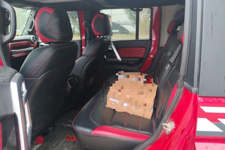 Used BAIC Off-Road BJ40 2019 2.3T Automatic Four-Wheel Drive Ring the Tower Champion Edition China VI Left Rear Seat