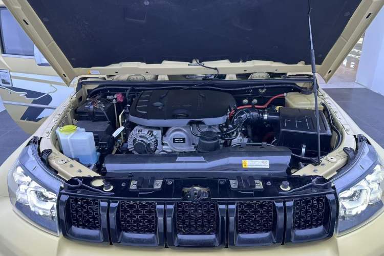 Used BAIC Off-Road BJ40 2019 2.3T Automatic Four-Wheel Drive Ring the Tower Champion Edition China VI Interior 8
