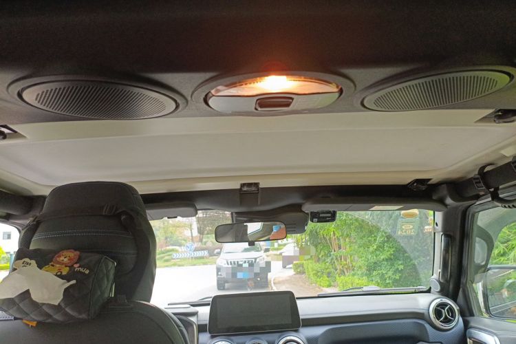 Used BAIC Off-Road BJ40 2020 2.0T Automatic Four-Wheel Drive Tribute Edition 2020 Xieke Version Headliner