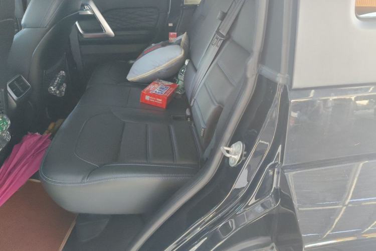 Used BAIC Off-Road BJ40 2020 2.0T Automatic Four-Wheel Drive Urban Hunter Edition Chivalrous Type Left Rear Seat
