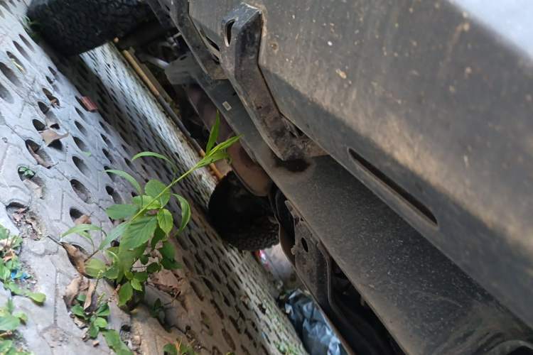 Used BAIC Off-Road BJ40 2020 2.3T Automatic Four-Wheel Drive Rainforest Expedition Edition Chassis Front Right