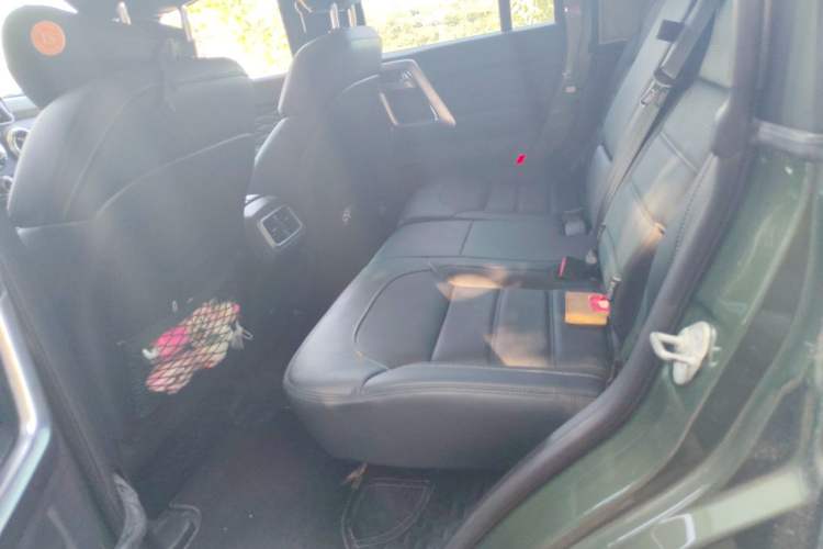 Used BAIC Off-Road BJ40 2020 2.3T Automatic Four-Wheel Drive Rainforest Expedition Edition Left Rear Seat