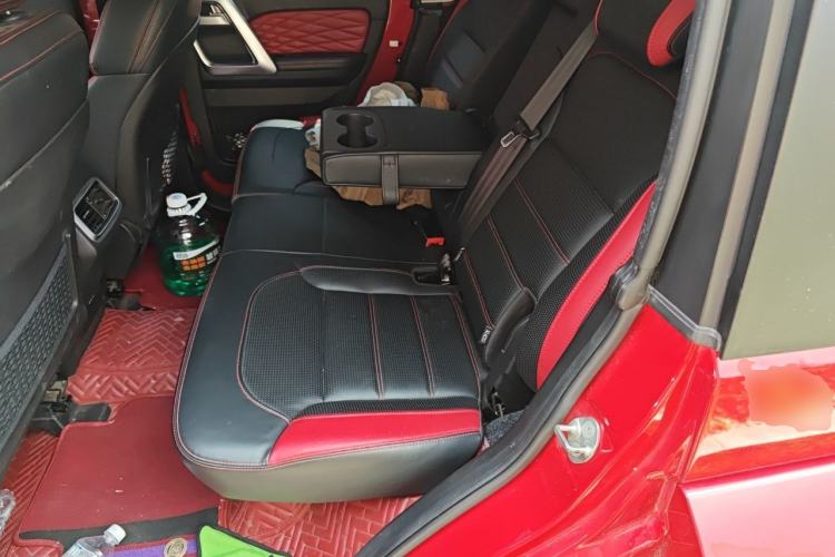 Used BAIC Off-Road BJ40 2020 2.0T Automatic Four-Wheel Drive Urban Hunter Edition Prestige Version Left Rear Seat
