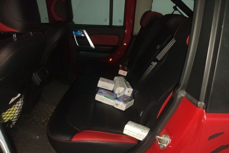 Used BAIC Off-Road BJ40 2020 2.0T Automatic Four-Wheel Drive Urban Hunter Edition Prestige Version Left Rear Seat
